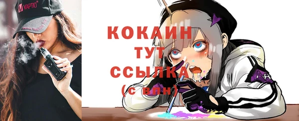 спиды Богородицк