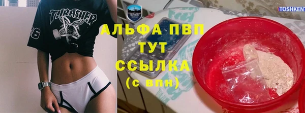 спиды Богородицк