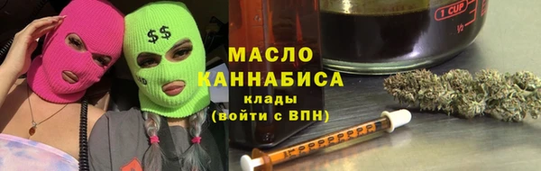 спиды Богородицк
