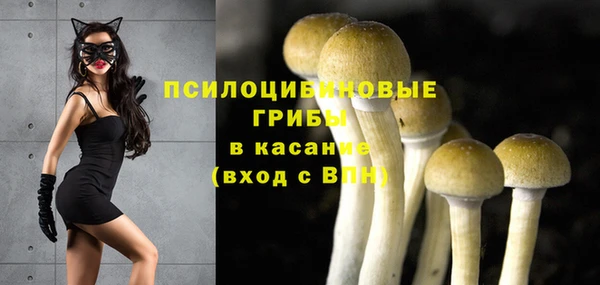 спиды Богородицк