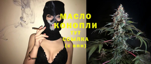 спиды Богородицк