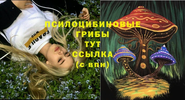 спиды Богородицк