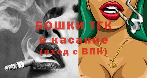 спиды Богородицк